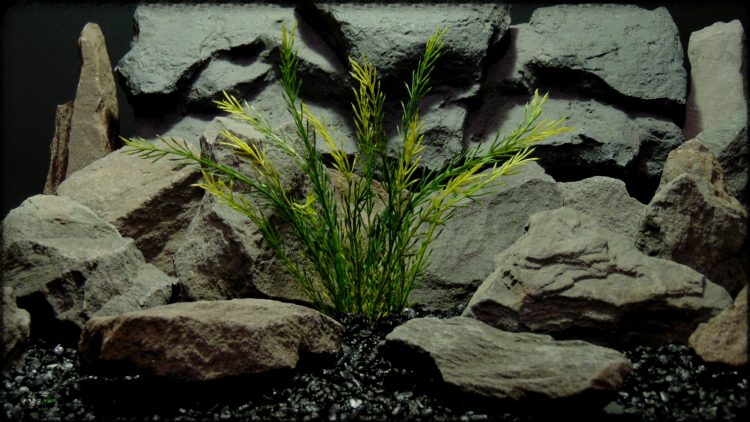 Artificial Wheat Grass - Artificial Aquarium Plant - parp389