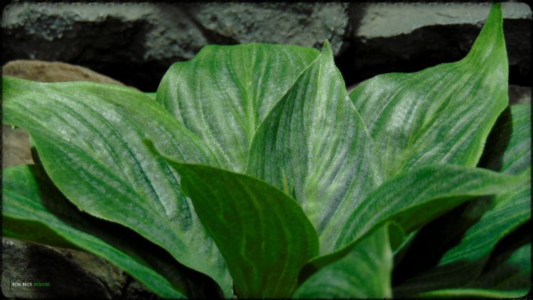 Artificial Silk Hosta Leaves - Silk Reptile Terrarium Plants - SRP392 3