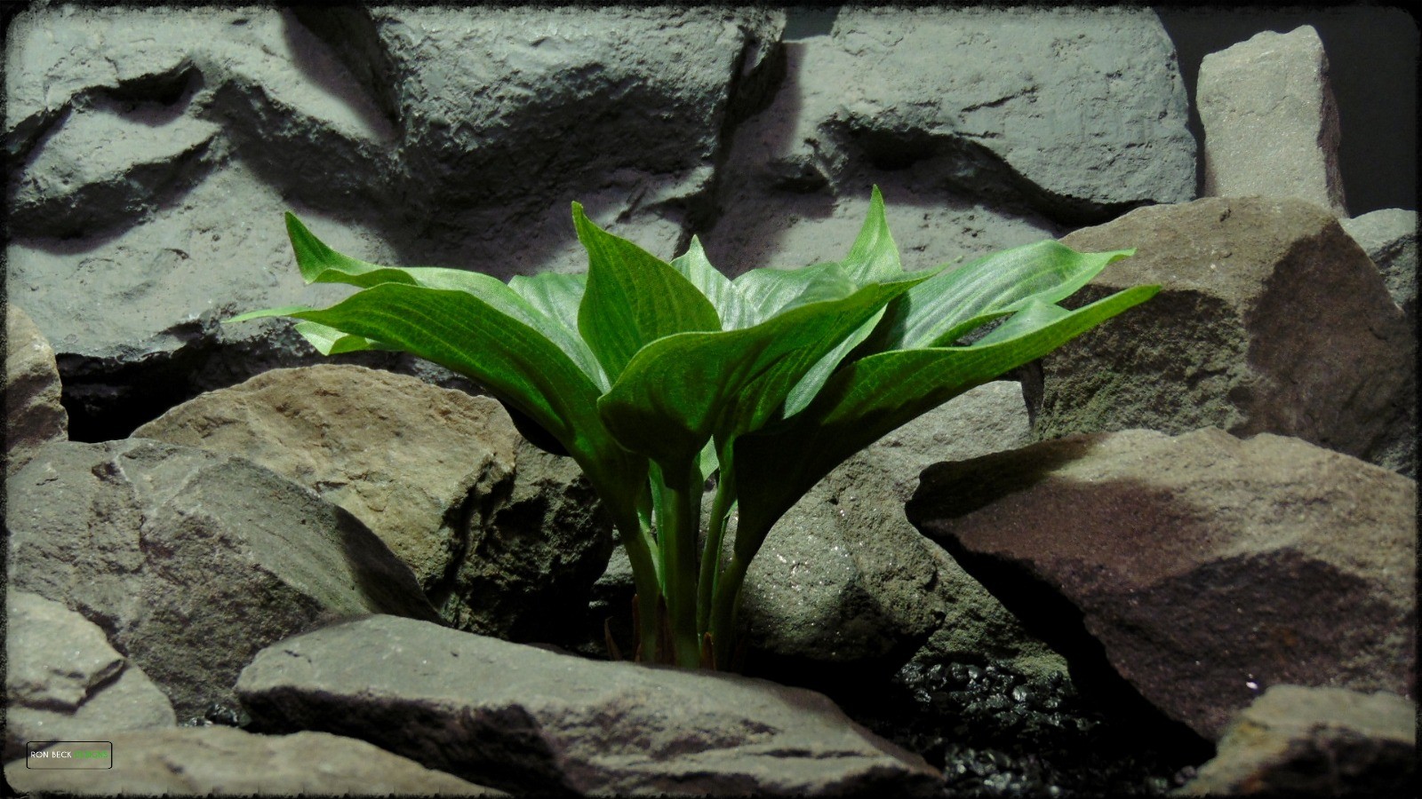 Artificial Silk Hosta Leaves - Artificial Silk Reptile Terrarium Plant - SRP392