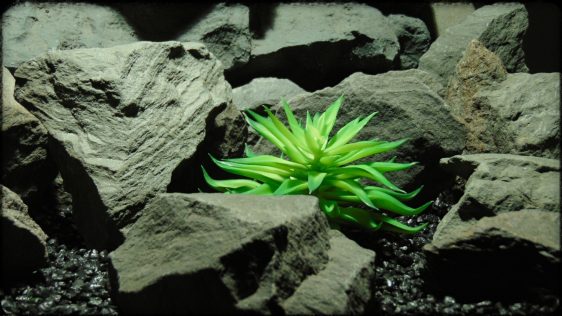 Artificial Fire Echeveria - Reptile Habitat plant Succulent - PRP394 2