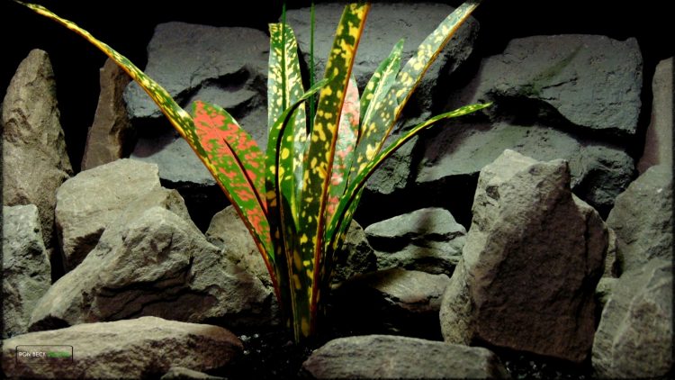 Artificial Croton Bush - Silk Reptile Habitat Plant - Ron Beck Designs srp397 3