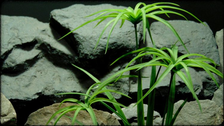 Artificial Plant - Cypress Grass - Reptile Habitat Plant - Ron Beck Designs prp395 2