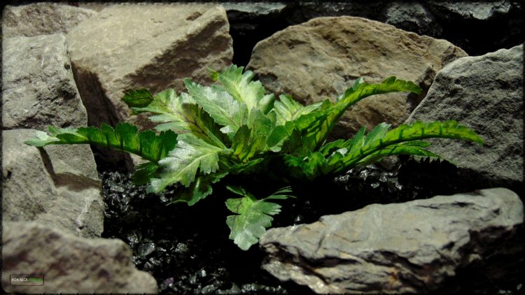 Artificial Silk Bracken Fern - Reptile Habitat Plant srp396 2