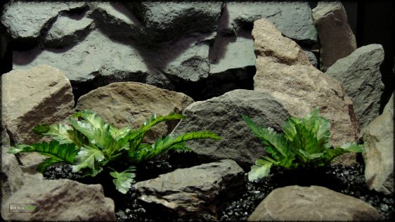 Artificial Silk Bracken Fern - Reptile Habitat Plant srp396