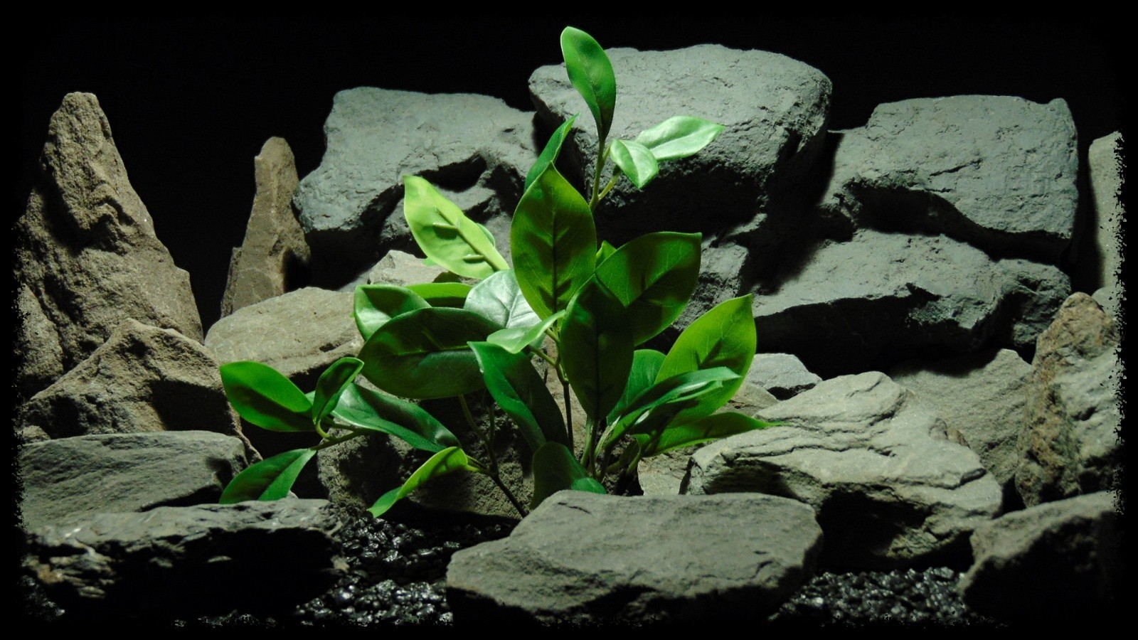 Artificial Silk Mandarin Leaves - Artificial Reptile Habitat Plant - Ron Beck Designs