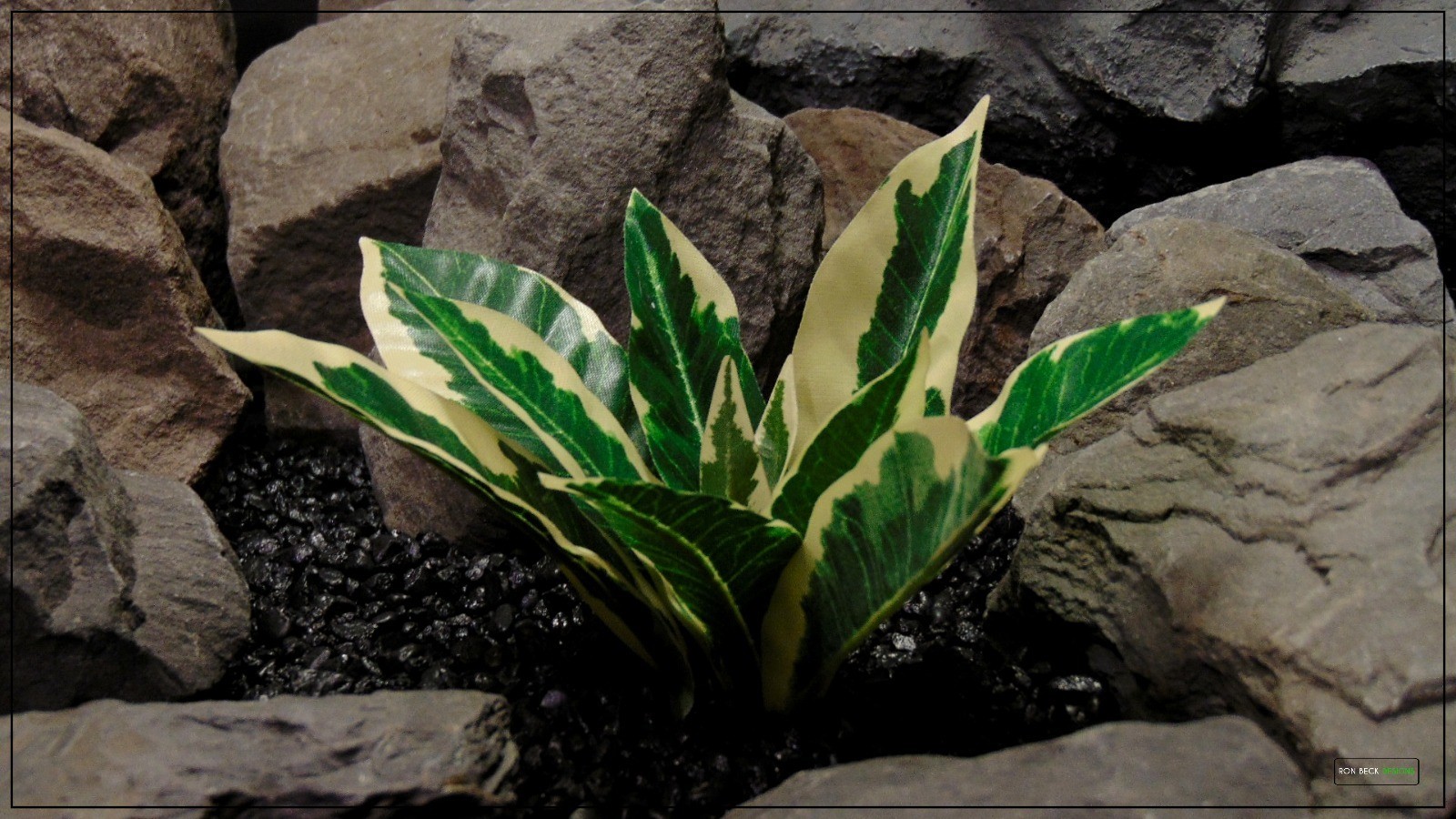 Artificial Silk Winter Daphne - Reptile terrarium Habitat Plant - Ron Beck Designs srp399 3