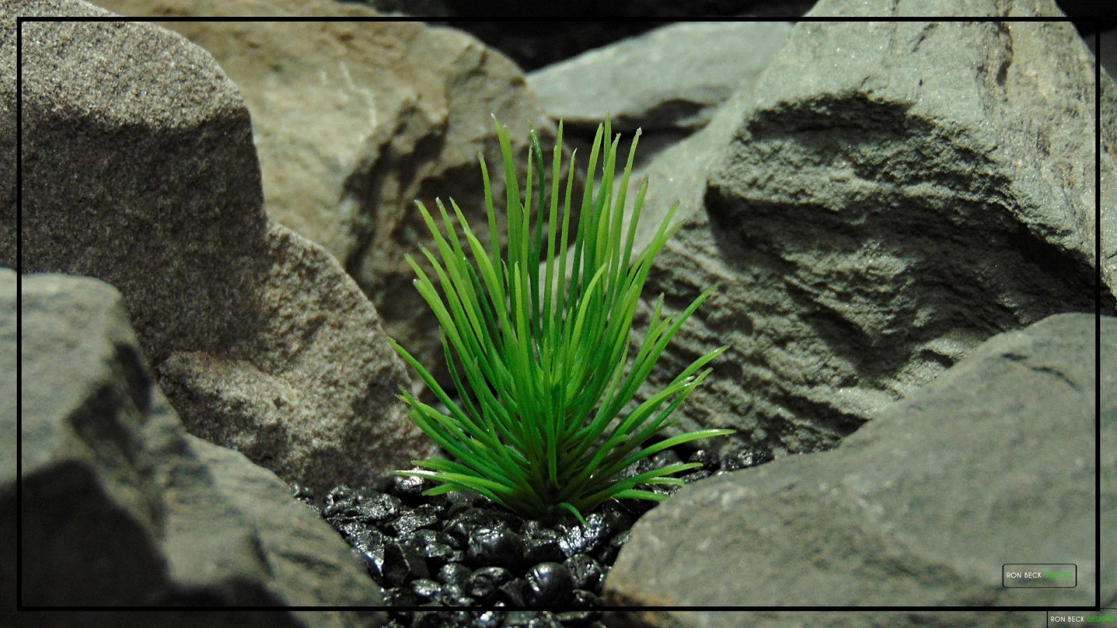 Artificial Aquarium Plant - Pine Grass Single - parp410 1920 1080 2