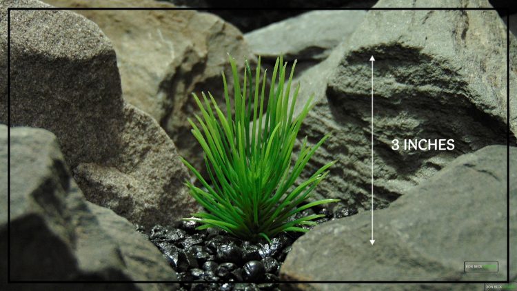 Artificial Aquarium Plant - Pine Grass Single - parp410 1920 1080 3 inches