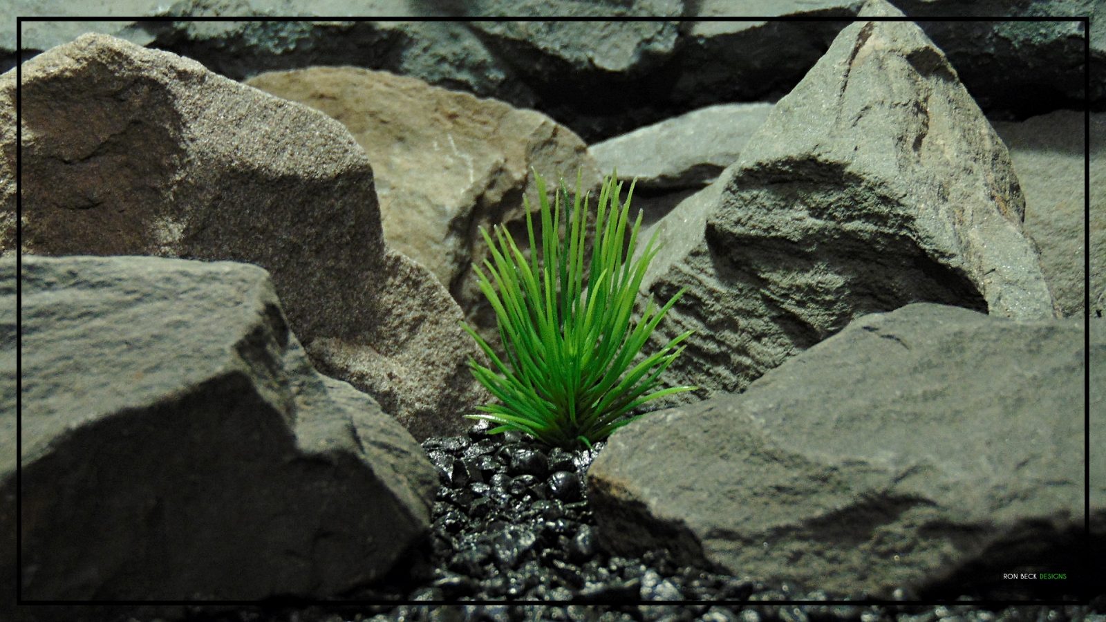 Artificial Aquarium Plant - Pine Grass Single - parp410 1920 1080