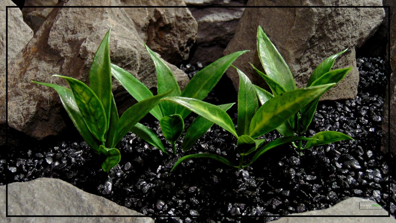 Artificial Bay Leaves Plot - Artificial Reptile Terrarium Plant - PRP411 3 3
