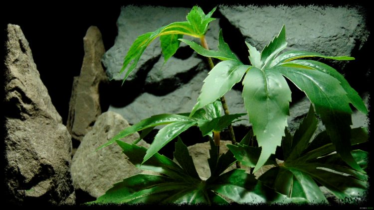 Artificial Canibus Plant - Reptile Terrarium Plant - SRP405 2