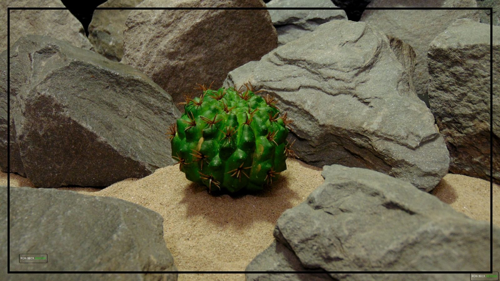 Artificial Green Barrel Cactus - Reptile Desert Plants - PRP415 2