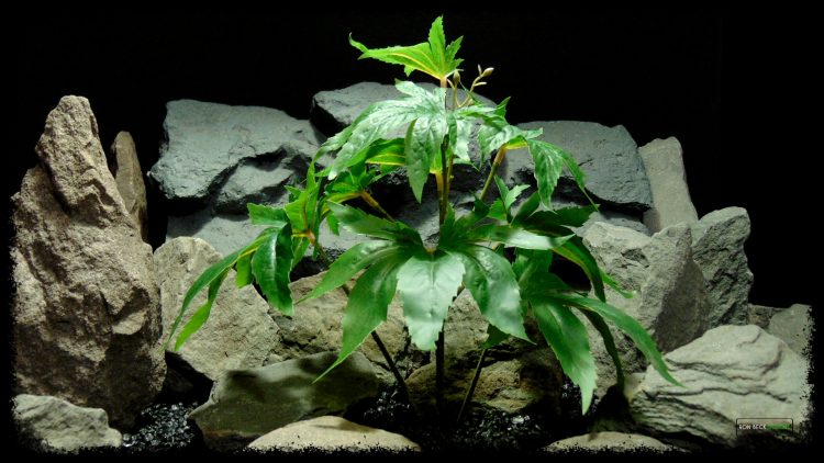 Artificial Marijuana Plant - Reptile Terrarium Plant - SRP404
