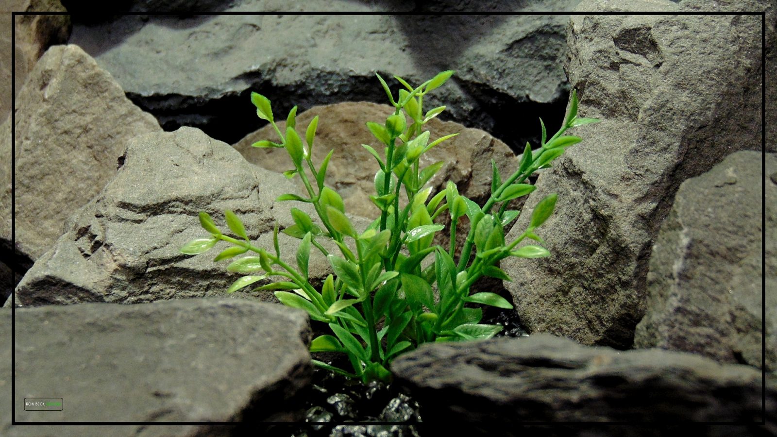 Artificial Spring Greenery Bush - Aquarium Plant or Reptile Plant - parp416