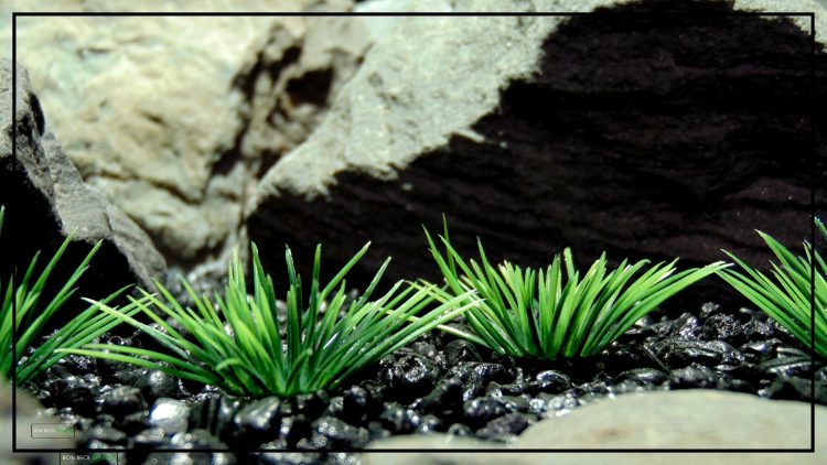 Artificial Urchin Grass Plot - Artificial Aquarium Plants - parp412 2