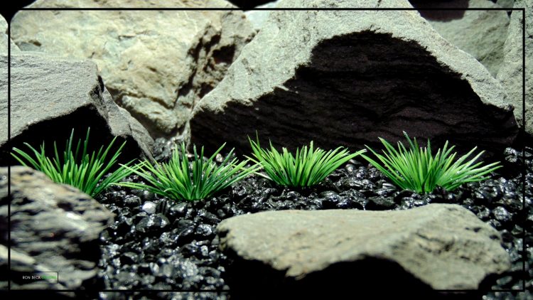 Artificial Urchin Grass Plot - Artificial Aquarium Plants - parp412