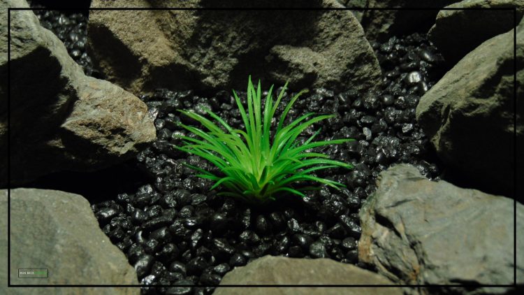 Fake Artificial Faux Tillandsia Plant - Artificial Reptile Habitat Plant PRP407 3