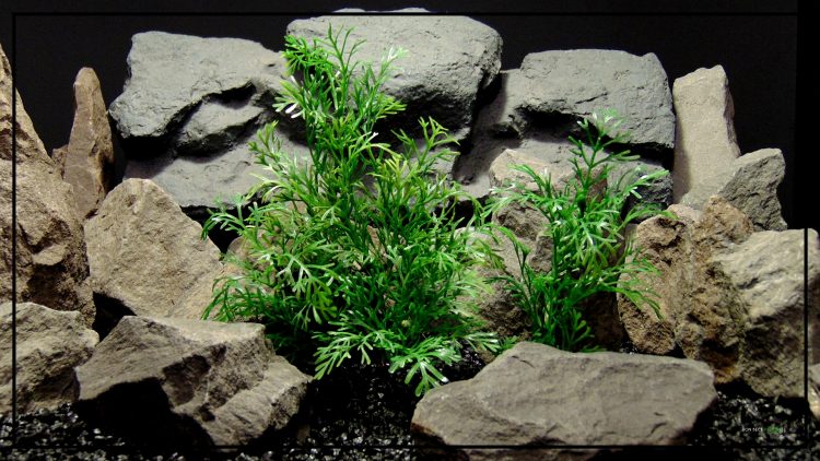 Artificial Dill Plants - Artificial Reptile Terrarium Plants PRP418