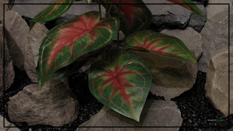 Artificial Dasheen (Red) - Silk Reptile terrarium Plant - srp409 4