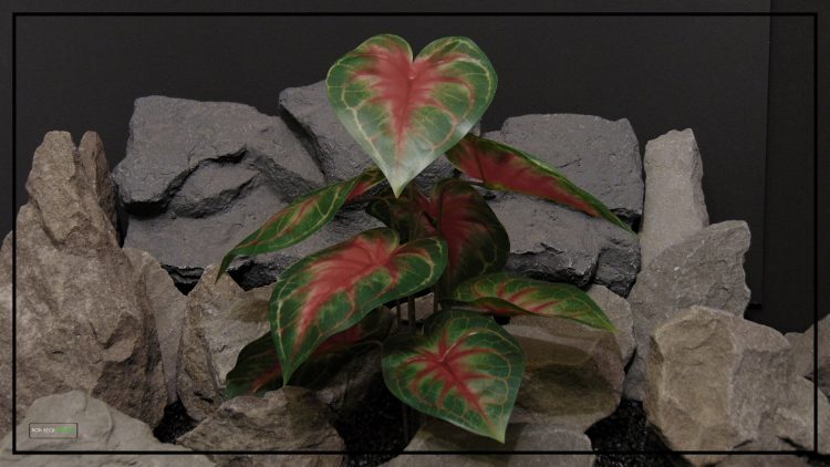 Artificial Dasheen (Red) - Silk Reptile terrarium Plant - srp409