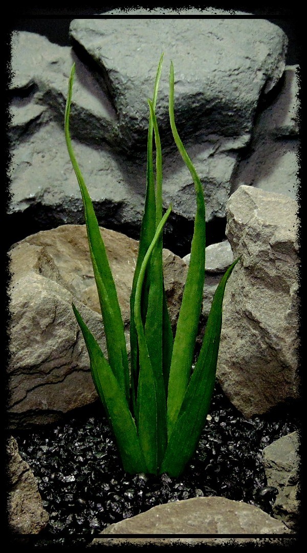 Artificial Soft Grass - Reptile Habitat or Home Decor Plant - prp419 tall 600 1080