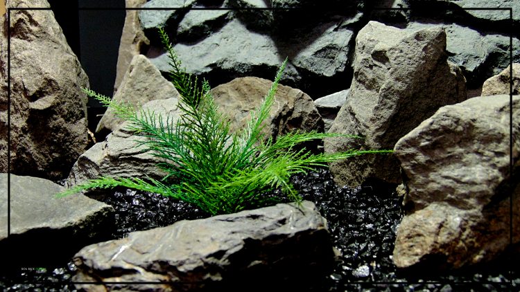 Artificial Spiked Fern - Aquarium or Reptile Terrarium Plant parp417 2