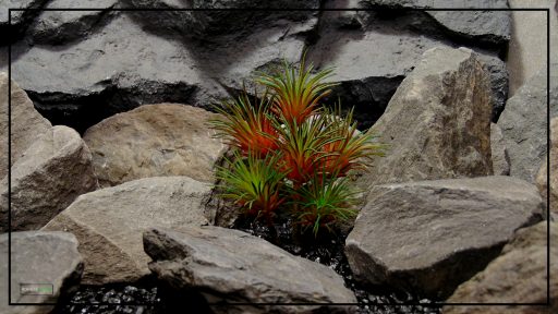 Artificial Tillandisa (Red) - Artificial Desert Reptile Decor Plant prs421