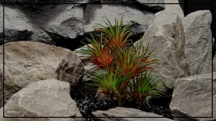 Artificial Tillandisa (Red) - Artificial Desert Reptile Decor Plant prs421 2