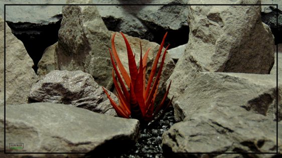 Artificial Aloe Plant (Burnt Apple Red) - Artificial Reptile Desert Habitat Plant prp423
