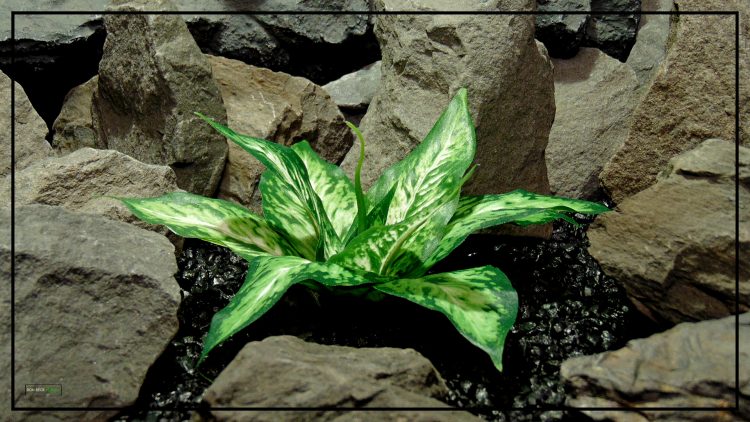 Artificial Silk Green Cream Leaves - Reptile Decor Artificial Plant srp424 2