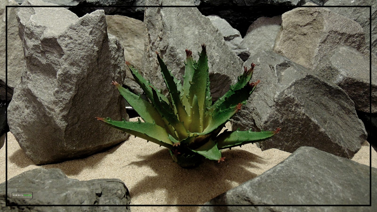 Artificial Agave Succulent - Desert Reptile Plant - prs430