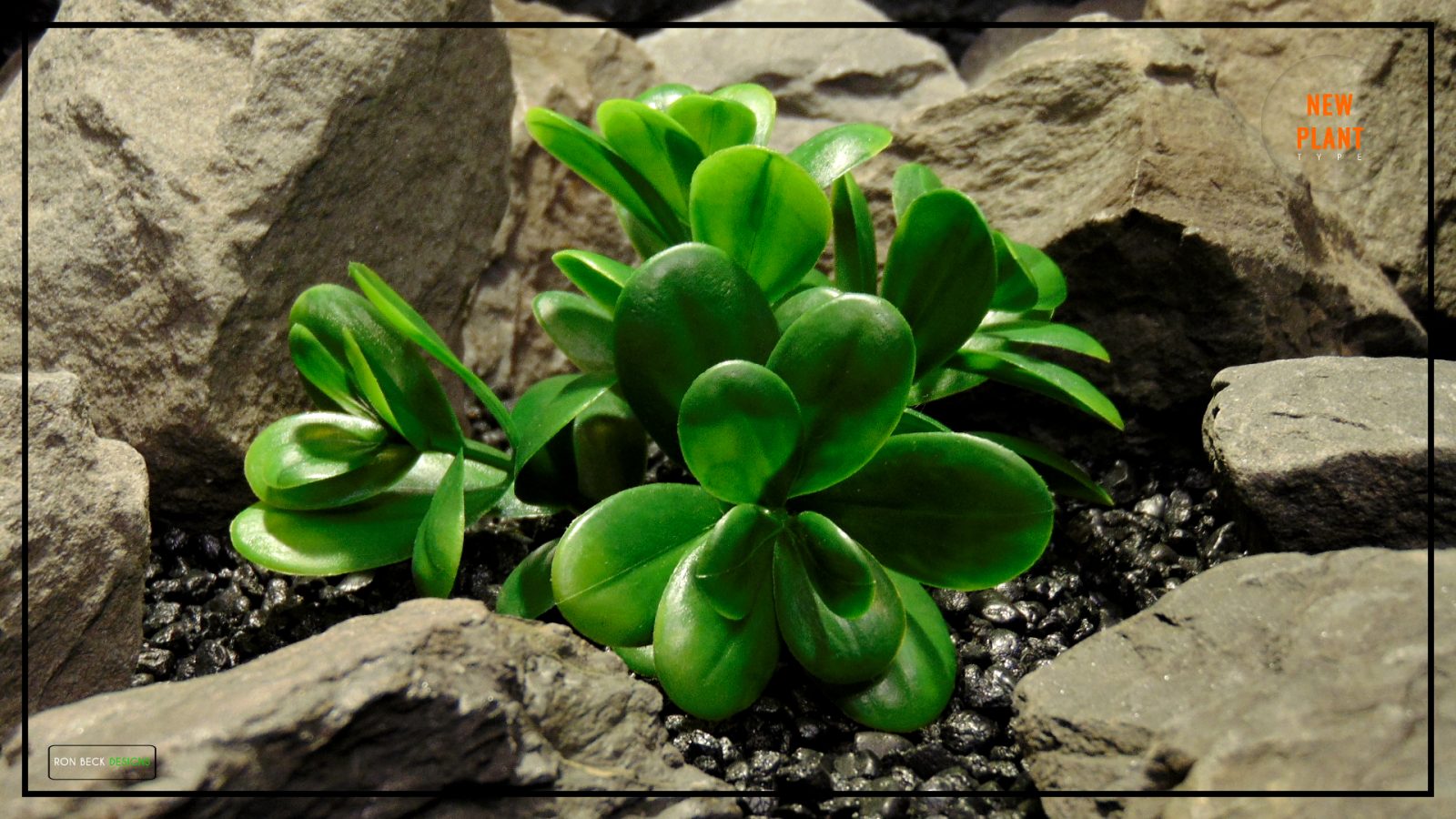Artificial Crassula - Green - Reptile Terrarium Plant - PRP434.jpg 2