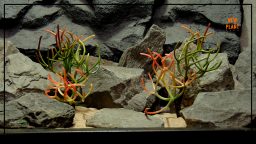 Artificial Fire Stick Cactus - Reptile Desert Decor Plant - prp428