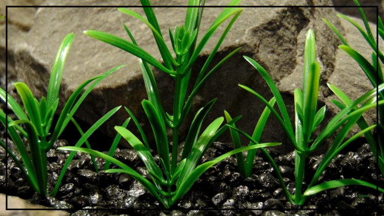 Artificial Green Matai - Aquarium Reptile Plant - parp432 3