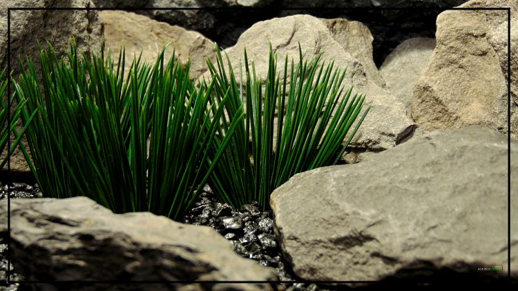 Artificial Japanese Grass Plot - Artificial Reptile Tank Plants - PRP435 4