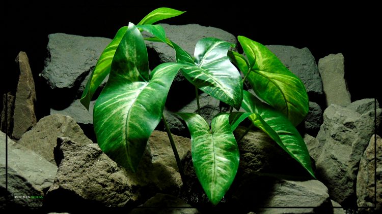 Artificial Philodendron Mexicanum - Artificial Silk Reptile Plant SRP427 3