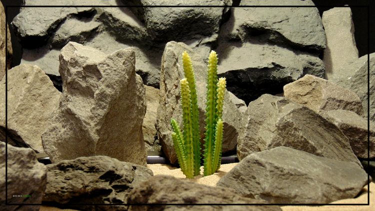 Artificial San Pedro Cactus - Reptile Desert Terrarium Plant - PRS218