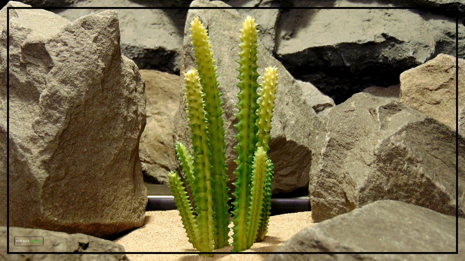 Artificial San Pedro Cactus - Reptile Desert Terrarium Plant - PRS218 2