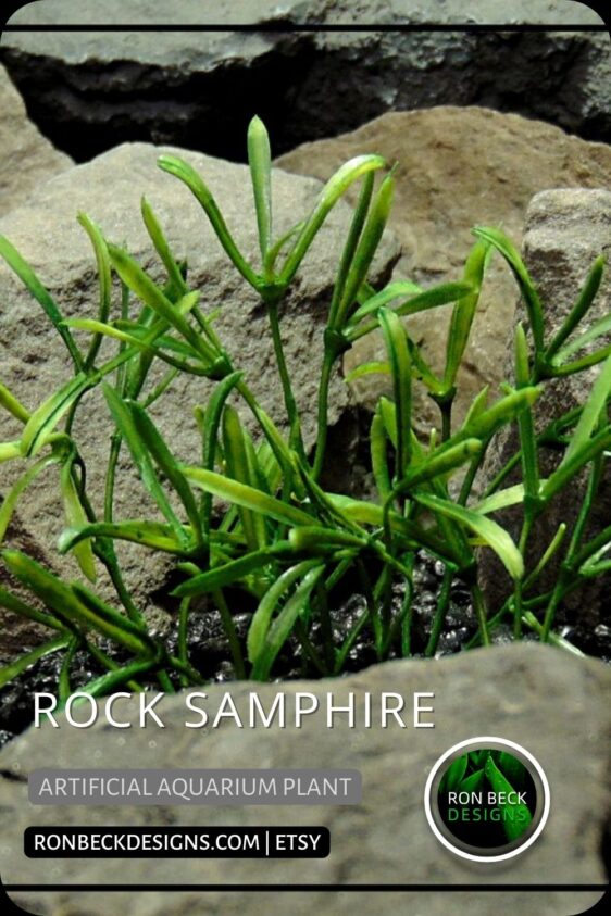 Rock Samphire - NEW DESIGN PINTEREST POST