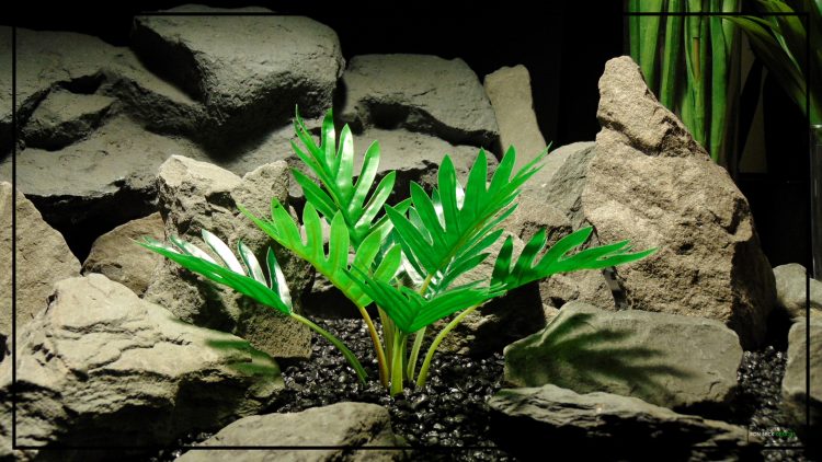 Silk Xanadu Philodendron Winterbourn Plant Artificial Silk Reptile Terrarium Plant srp437 2