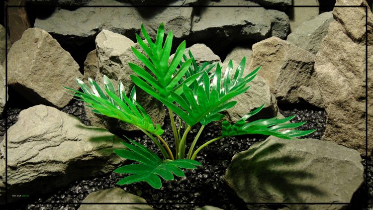 Silk Xanadu Philodendron (Winterbourn) Plant - Artificial Silk Reptile Terrarium Plant - srp437 3