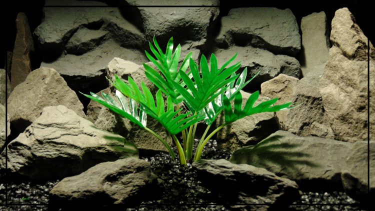 Silk Xanadu Philodendron (Winterbourn) Plant - Artificial Silk Reptile Terrarium Plant - srp437