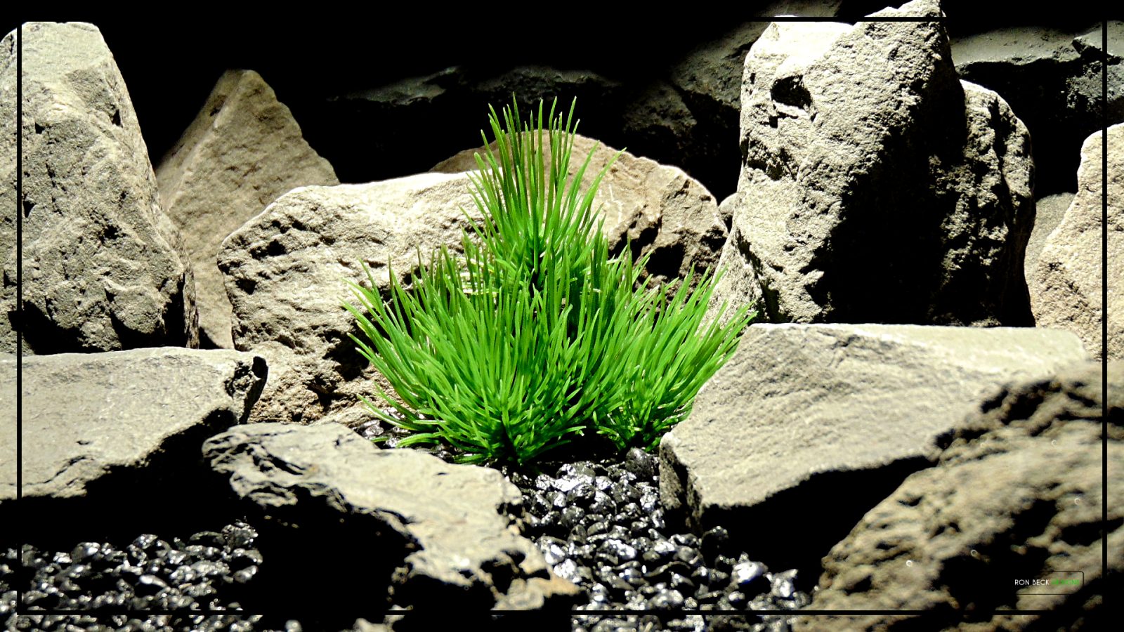 Artificial Pine Needle Bush - Desert reptile Artificial Plant - prp438