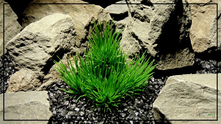 Artificial Pine Needle Bush - Desert reptile Artificial Plant - prp438 3