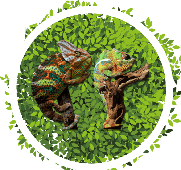 Artificial Plants | Artificial Reptile Terrarium Plants | Ron Beck Designs