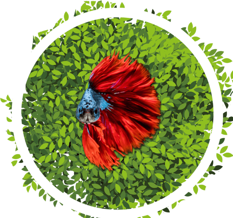 Artificial Plants | Artificial Aquarium Plants | Ron Beck Designs