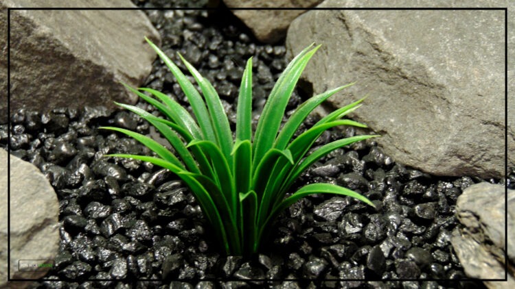 Artificial Curly Grass - Aquarium Reptile Plant - New Plant Type PARP445 4