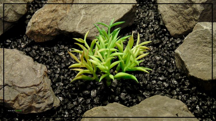 Artificial Kleinia Succulent - Reptile Desert Plant - prp294.jpg 3