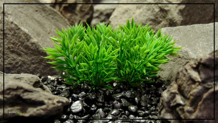 Artificial Podocarpus Grass - Aquarium Plant - Ron Beck Designs PARP443 3
