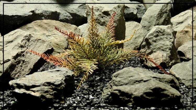 Artificial Spiked Forest Fern (browns) – Artificial Aquarium Reptile Plant - Ron Beck Designs parp360 3